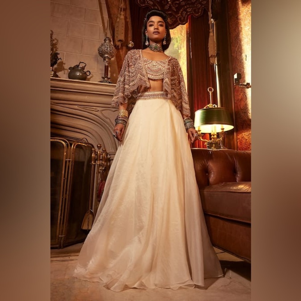 Ridhima Basin Ivory Net Hand Embroidered Sequin Cape Zeenat Organza Skirt